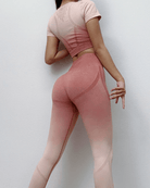 Sculpting Ombre Top in Pink